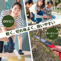 玉鳥産業 はじめてのDIY&ガーデンのこぎりセット 9910 1セット（直送品）