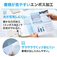 リヒトラブ リクエスト 広い間口で出し入れしやすいクリヤーポケット ファイル 交換用 A4 30穴 G49240 1セット(1組×10)（直送品）