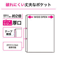 リヒトラブ リクエスト 広い間口で出し入れしやすいクリヤーポケット ファイル 交換用 A4 2穴 G49290 1組（直送品）