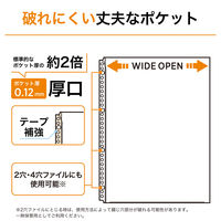 リヒトラブ リクエスト 広い間口で出し入れしやすいクリヤーポケット ファイル 交換用 A4 30穴 G49270 1組（直送品）