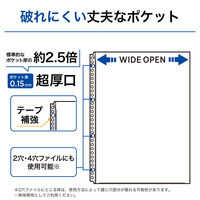 リヒトラブ リクエスト 広い間口で出し入れしやすいクリヤーポケット ファイル 交換用 A4 30穴 G49310 1組（直送品）