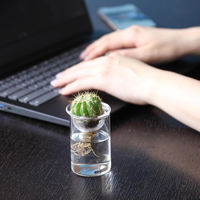 SOW 花瓶 MINI BULB VASE 水栽培ガラスベース 7cm 水耕栽培 485686 1個（直送品）