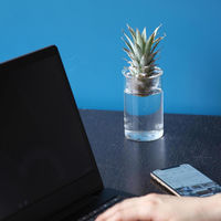 SOW 花瓶 MINI BULB VASE 水栽培ガラスベース 11cm 水耕栽培 485687 1個（直送品）