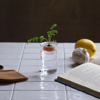 SOW 花瓶 MINI BULB VASE 水栽培ガラスベース 8.5cm 水耕栽培 485688 1個（直送品）