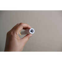 SOW テーパーキャンドル 2本組 LED 493266 1個（直送品）