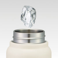 スケーター 水筒 350ml スクリューハンドルマグボトル ズートピア/ワッペン 495321 1個（直送品）