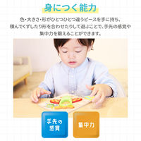 アーテック Artec MiraTOY 木製パズル ひこうき 21715 1セット(1個×2)（直送品）