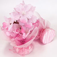 ポップギャラリー(POPGALLERY) 春色桜ペアセット TE1-1393 1セット（直送品）