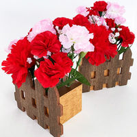 ポップギャラリー(POPGALLERY) カーネーション垣根スタンドセット TE1-1396 1セット（直送品）