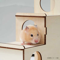 ルークラン ケージ 小動物 ミオファン DIYハウス シックスルーム ハムスター 鳥 ペット 441450 1個（直送品）