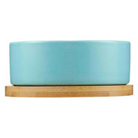 ルークラン フードボウル ループ ディッシュ ピッコロラウンド ライトブルー 457588 1個（直送品）