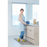 ResoTrading エプロン ソフィアエプロン vieressa ブルー 476846 1個（直送品）