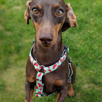 ルークラン ハーネス 小型犬 XS マックス&モーリー 犬 スイカ 437706 1個（直送品）