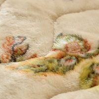 モリリン アルミ蒸着シート入り&吸湿発熱 敷きパッドS アイボリー S1176SW2 1枚