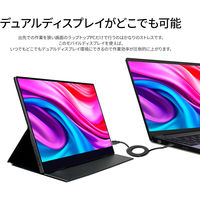 JAPANNEXT 15.6インチ 4Kワイド タッチパネルモバイルディスプレイ JN-MD-IPS1563UHDR-T 1台（直送品）
