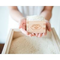 サキホコレ　秋田県大潟村 令和七年度産 2合キューブ AKOMEYA TOKYO/アコメヤ