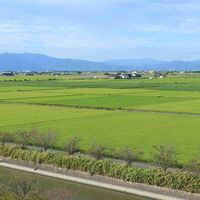 シギの恩返し米　夢しずく 令和七年度産 2合キューブ AKOMEYA TOKYO/アコメヤ