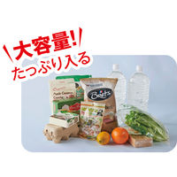 リマーク 大きな保冷温ボックスバッグ 82392 1個（直送品）