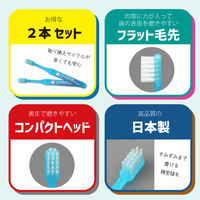 アヌシ 新幹線ハブラシ ドクターイエロー 82345 1セット(2個入)（直送品）
