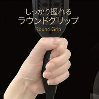 カシムラ コンパクトブラシヘアアイロン国内・海外兼用 NTD-23 1個（直送品）