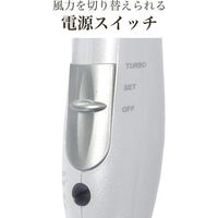 カシムラ 冷風機能付きドライヤー NTI-139 1個（直送品）