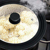 ランテル・メディエール every U. ガラス蓋 16cm-18cm-20cm兼用 LN-2504 1個（直送品）