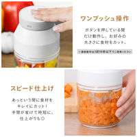 武田コーポレーション 電動みじん切りカッター USB-MZNK 1箱(27個入)（直送品）