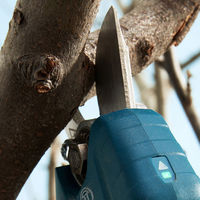 BOSCH コードレス剪定ばさみ ProPruner 1619JT0882 1個（直送品）