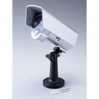 スマイルキッズ センサーライト付防犯ダミーカメラ ASL-3309 1個（直送品）