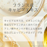 フィールドスリー フランス由来キャビアエキス配合 FAモイスチャーフェイスマスク FA-FPMOCV5 1箱(5枚入)（直送品）