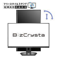 「5年保証」90W給電Type-C&LAN搭載 法人向け31.5型ディスプレイ LCD-CU321D-F 1台（直送品）