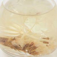 ハーバリウムディフューザー コットン COTTON LAKOLE/ラコレ