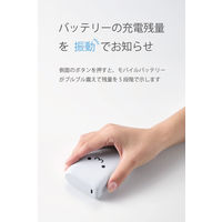 モバイルバッテリー 10000mAh USB-C/USB-A 両面挿し しろちゃん DE-C78L-10000WF エレコム 1個（直送品）