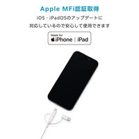 3in1 ケーブル USB-A to Micro-B＋変換2種 1m ホワイト MPA-AMBLCEC10WH エレコム 1個（直送品）