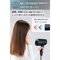 ドライヤー 大風量 速乾 温度センサー 熱ダメージ配慮 マイナスイオン 1300W ネイビー TD713A-A テスコム 1個（直送品）