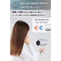 ドライヤー 大風量 速乾 温度センサー 熱ダメージ配慮 マイナスイオン 1300W シルバー TD713A-S テスコム 1個（直送品）