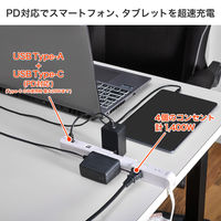 朝日電器 延長コード 電源タップ 耐雷 回転 4個口/2m PD20W ホワイト WB-SL4222SUC(W) 1個（直送品）