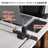 朝日電器 延長コード 電源タップ 耐雷 回転 4個口/2m PD20W 木目調 WB-SL4222SUC(WD) 1個（直送品）