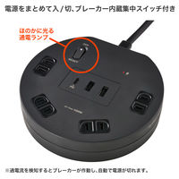 朝日電器 延長コード 耐雷 集中スイッチ付き 丸形 4個口/2m PD20W ブラック WLS-R4322BUC(BK) 1個（直送品）
