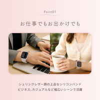 オウルテック Apple Watch 38-42mmマグネティックシリコンバンド ミニョン OWL-AWBSMIN07-GY 1個（直送品）