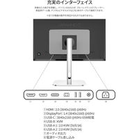 JAPANNEXT 27インチ 4K液晶ディスプレイ JN-IPSB27U-HSPC6 1台（直送品）