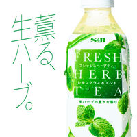 ヱスビー食品 フレッシュハーブティー レモングラス＆ミント 350ml 1箱（24本入）