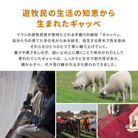 萩原 ウール素材でふっくら贅沢な踏み心地 ギャッベラグ LORRI BUFF 600×900mm A1 270069220 1枚（直送品）