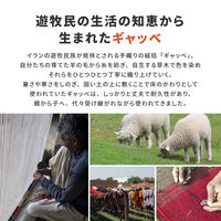 萩原 贅沢なリラックス空間を味わえる ギャッベ GABBEH 600×900mm A7ブルー 270075825 1枚（直送品）