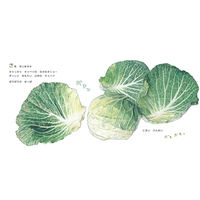 絵本 食育えほん どーんと やさい （既8冊） 978-4-494-04589-1 1セット 童心社