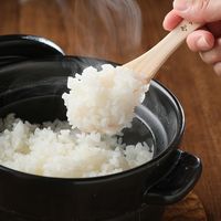 吉兆楽 雪蔵仕込み　新潟県産新之助４ｋｇ ts-013 1個（直送品）