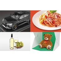 ハック 大型組立式撮影スタジオセット 2903 1個（直送品）