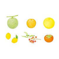 コクヨ しかけ絵本 はい、あーん！くだもの 知育玩具 KE-WC60 1冊