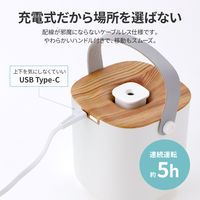 MSソリューションズ 超音波卓上加湿器 ハンドル付き LE-EHUM04NT 1個