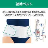 アルケア　サクロライト・DX　4L　17856 コルセット 腰痛ベルト（わけあり品）